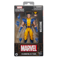 Collection image for: MARVEL LEGENDS