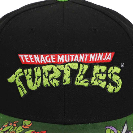 Teenage Mutant Ninja Turtles Classic Pre-Curved Bill Snapback