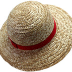 Paja
