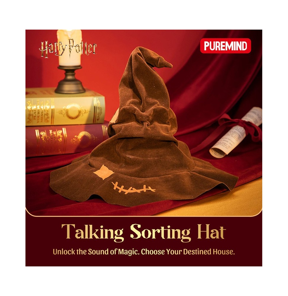 Harry Potter Model Kit Wooden Kit Scene Sorting Hat