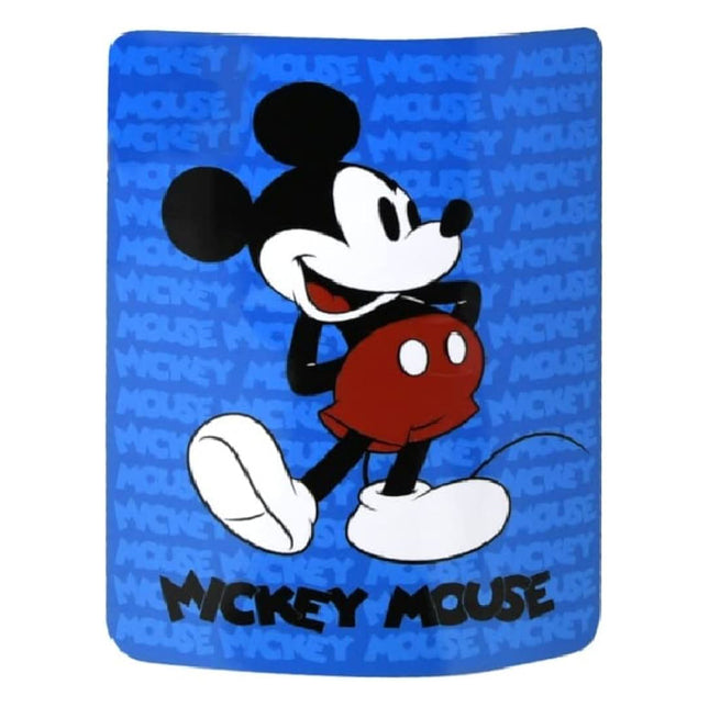 Disney Blanket Cartoon Painting (40"X 60") | Mickey Mouse Bedroom Décor