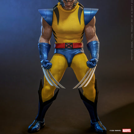 Wolverine (Unmasked) Sixth Scale Action Figure (HS06)