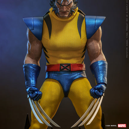 Wolverine (Unmasked) Sixth Scale Action Figure (HS06)