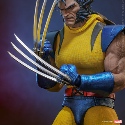 Wolverine (Unmasked) Sixth Scale Action Figure (HS06)