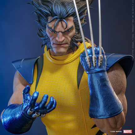 Wolverine (Unmasked) Sixth Scale Action Figure (HS06)
