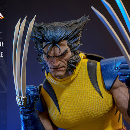 Wolverine (Unmasked) Sixth Scale Action Figure (HS06)