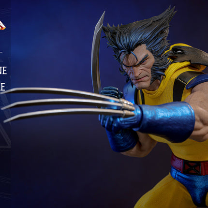 Wolverine (Unmasked) Sixth Scale Action Figure (HS06)