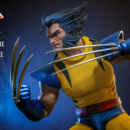 Wolverine (Unmasked) Sixth Scale Action Figure (HS06)
