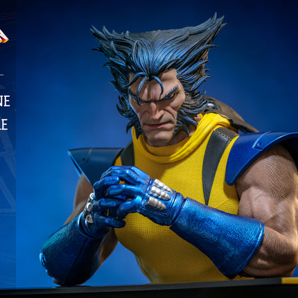 Wolverine (Unmasked) Sixth Scale Action Figure (HS06)