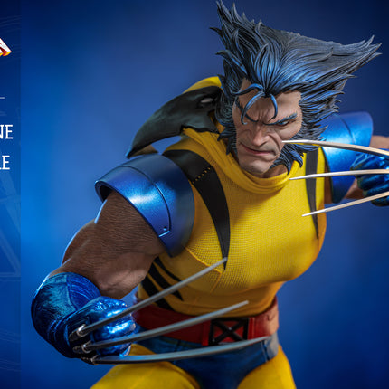 Wolverine (Unmasked) Sixth Scale Action Figure (HS06)