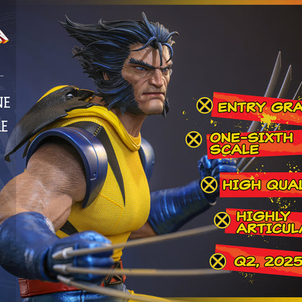 Wolverine (Unmasked) Sixth Scale Action Figure (HS06)