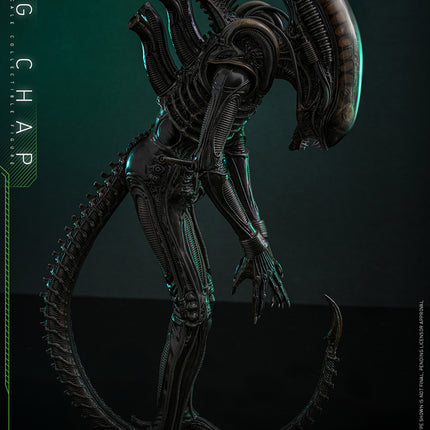 Alien: Big Chap Sixth Scale Figure (PRE-ORDER)