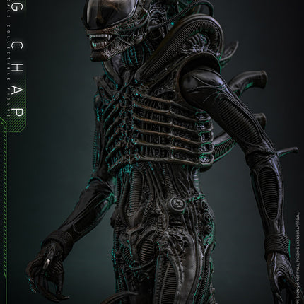Alien: Big Chap Sixth Scale Figure (PRE-ORDER)