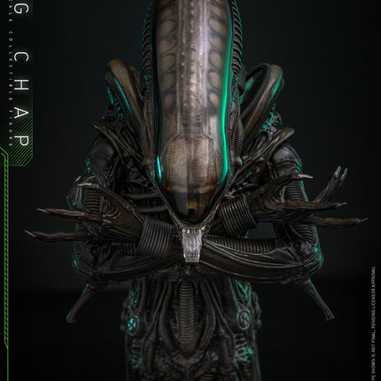 Alien: Big Chap Sixth Scale Figure (PRE-ORDER)