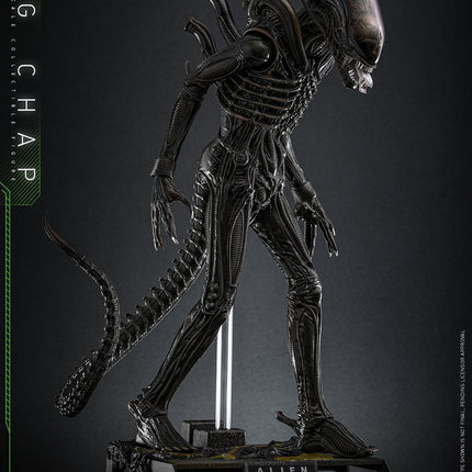 Alien: Big Chap Sixth Scale Figure (PRE-ORDER)