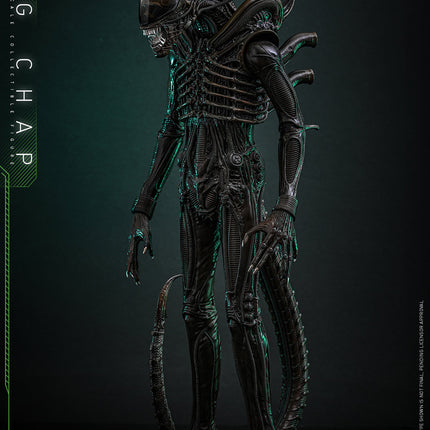 Alien: Big Chap Sixth Scale Figure (PRE-ORDER)