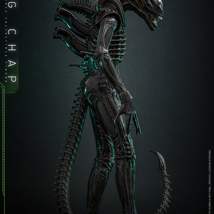 Alien: Big Chap Sixth Scale Figure (PRE-ORDER)