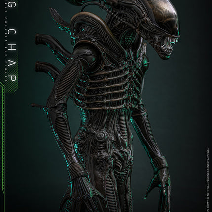 Alien: Big Chap Sixth Scale Figure (PRE-ORDER)