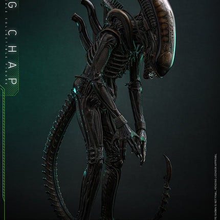 Alien: Big Chap Sixth Scale Figure (PRE-ORDER)