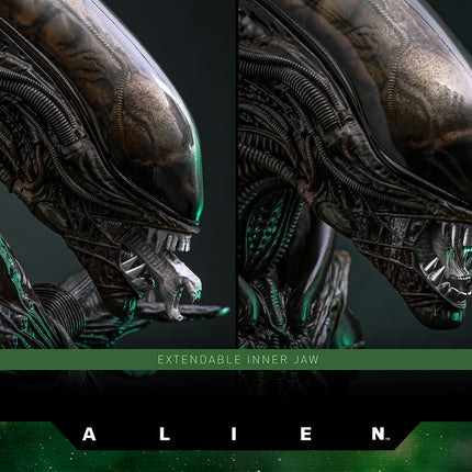 Alien: Big Chap Sixth Scale Figure (PRE-ORDER)
