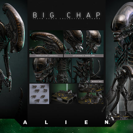 Alien: Big Chap Sixth Scale Figure (PRE-ORDER)