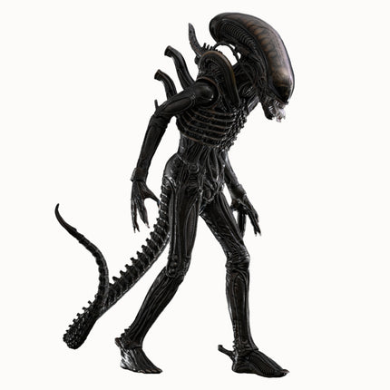 Alien: Big Chap Sixth Scale Figure (PRE-ORDER)
