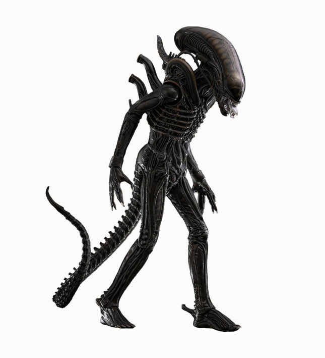 Alien: Big Chap Sixth Scale Figure (PRE-ORDER)