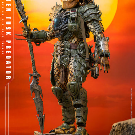 Broken Tusk Predator Sixth Scale Figure (PRE-ORDER)
