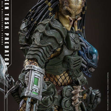 Broken Tusk Predator Sixth Scale Figure (PRE-ORDER)