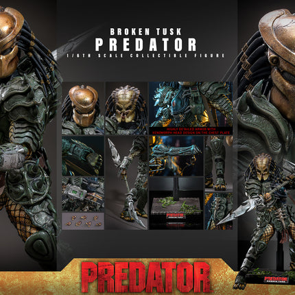 Broken Tusk Predator Sixth Scale Figure (PRE-ORDER)