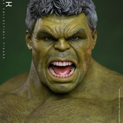 Spider-Man Brand New Day: Hulk Sixth Scale Figure (PRE-ORDER)