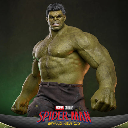 Spider-Man Brand New Day: Hulk Sixth Scale Figure (PRE-ORDER)