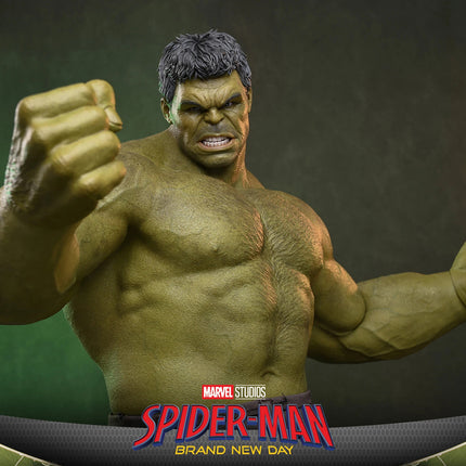 Spider-Man Brand New Day: Hulk Sixth Scale Figure (PRE-ORDER)