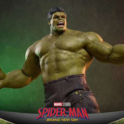 Spider-Man Brand New Day: Hulk Sixth Scale Figure (PRE-ORDER)