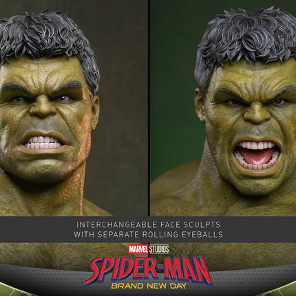 Spider-Man Brand New Day: Hulk Sixth Scale Figure (PRE-ORDER)
