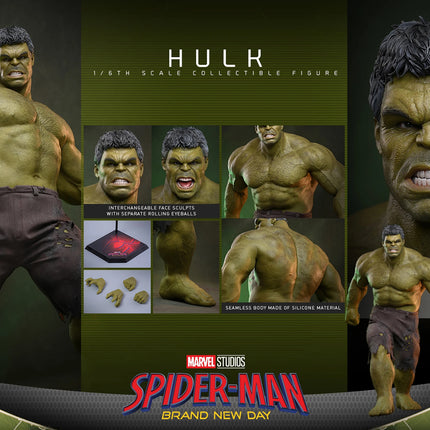 Spider-Man Brand New Day: Hulk Sixth Scale Figure (PRE-ORDER)