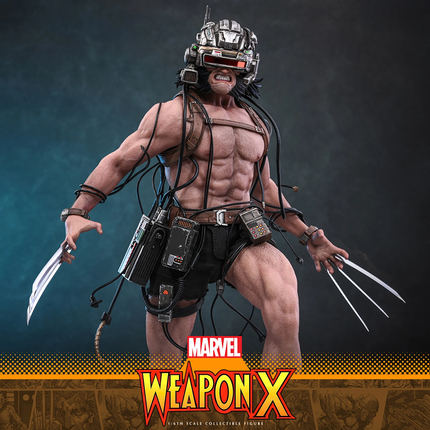Weapon X Sixth Scale Figure (PRE-ORDER)