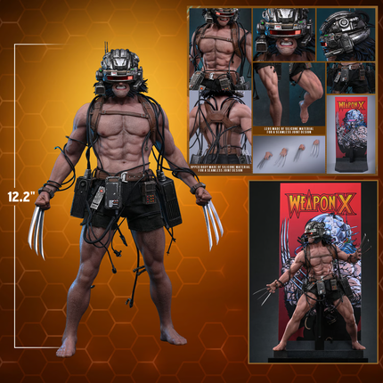 Weapon X Sixth Scale Figure (PRE-ORDER)