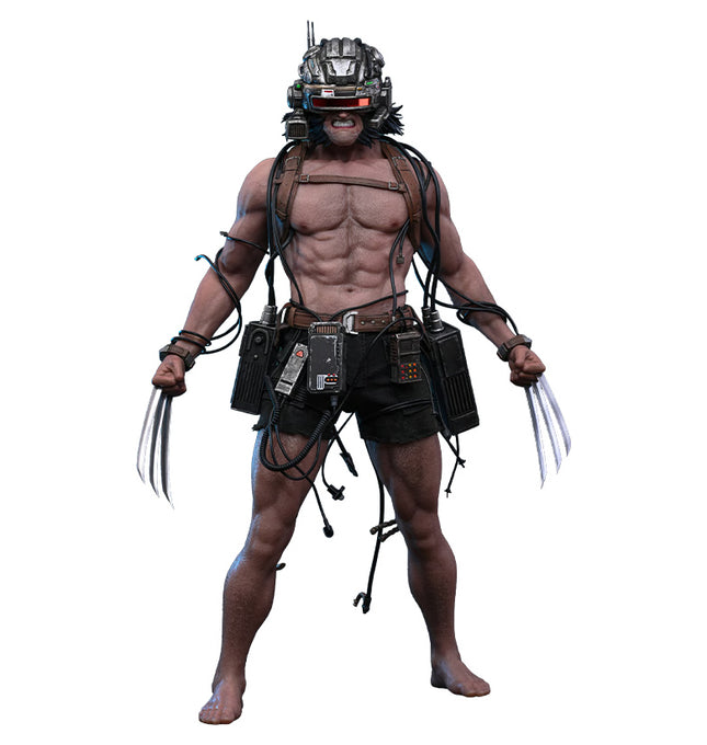 Weapon X Sixth Scale Figure (PRE-ORDER)