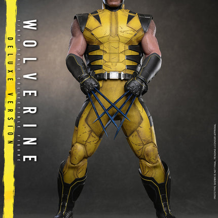 Marvel’s Wolverine (Deluxe Version) Sixth Scale Figure (PRE-ORDER)