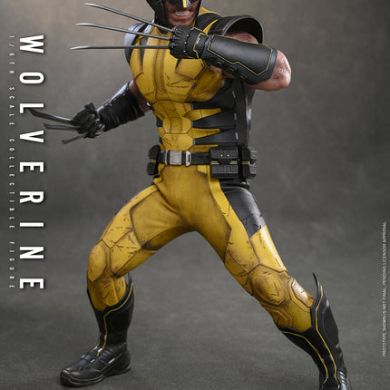 Marvel’s Wolverine Sixth Scale Figure (PRE-ORDER)