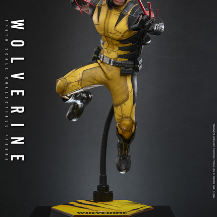 Marvel’s Wolverine Sixth Scale Figure (PRE-ORDER)