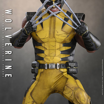 Marvel’s Wolverine Sixth Scale Figure (PRE-ORDER)
