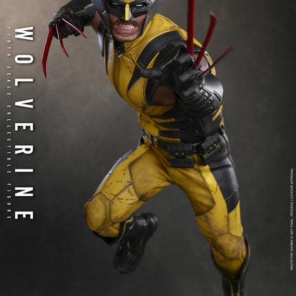 Marvel’s Wolverine Sixth Scale Figure (PRE-ORDER)