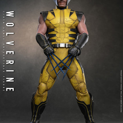 Marvel’s Wolverine Sixth Scale Figure (PRE-ORDER)