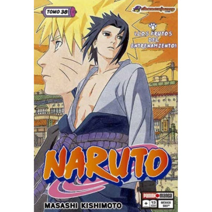 Naruto Vol 38 (PANINI) "Spanish Edition" Paperback