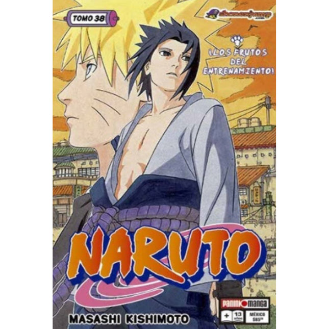 Naruto Vol 38 (PANINI) "Spanish Edition" Paperback