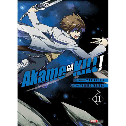 Akame Ga Kill Vol 11 (PANINI) "Spanish Edition" Paperback