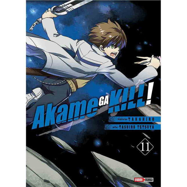 Akame Ga Kill Vol 11 (PANINI) "Spanish Edition" Paperback