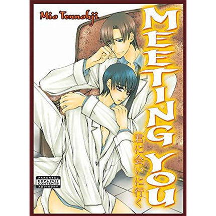 Meeting You (Yaoi Manga) - (801 Media) "ENGLISH EDITION" Papeback